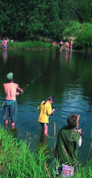 Rybáfiství a rybníkáfiství 10. 10.2 STAV RYBNIČNÍHO FONDU V ROCE 2001 S technickým stavem rybníků v roce 2001 se nelze spokojit.