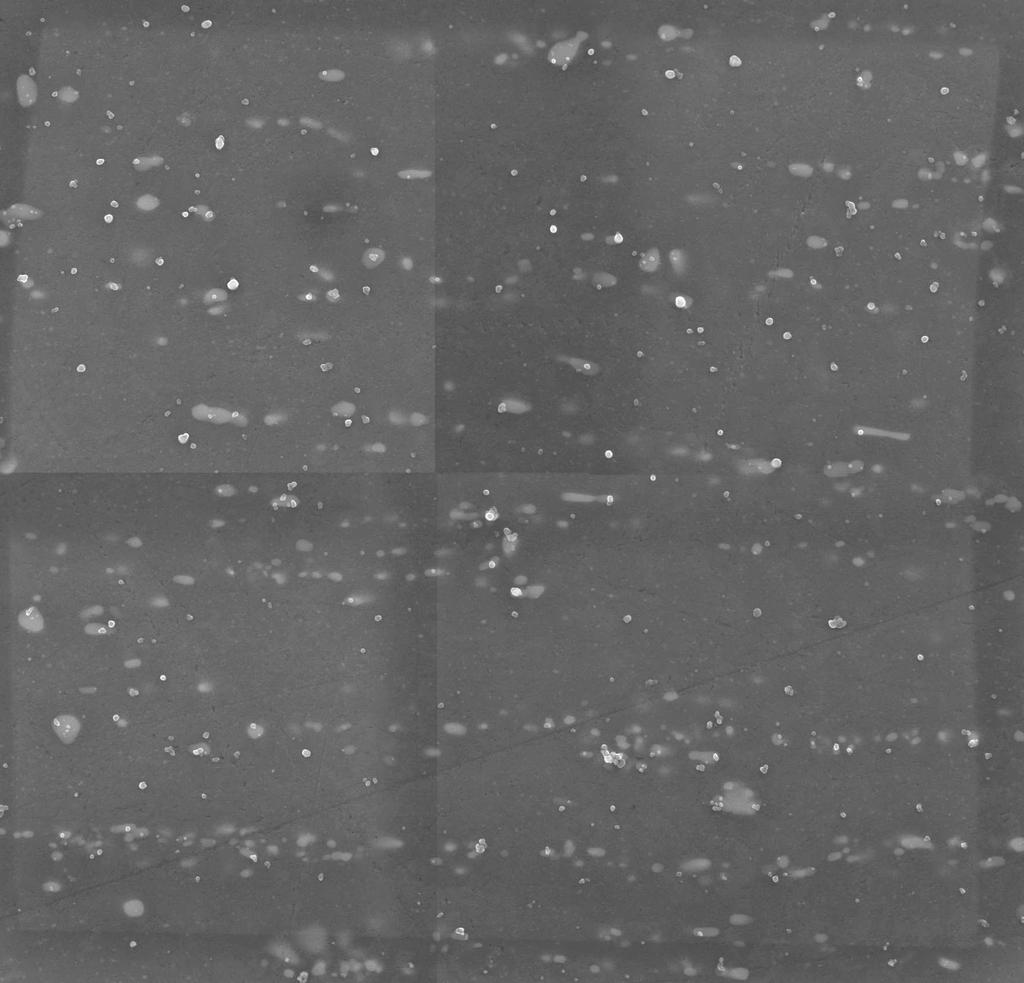 10 µm 10 µm Obrázek 3.