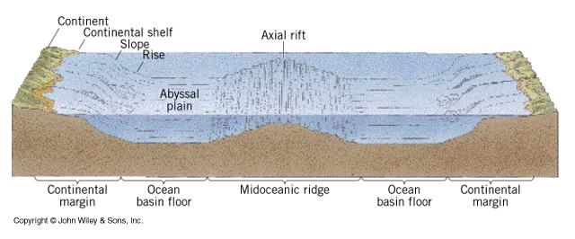 Prvky reliéfu oceánského dna Rift (středooceánský hřbet) oceánské pánve (abysální