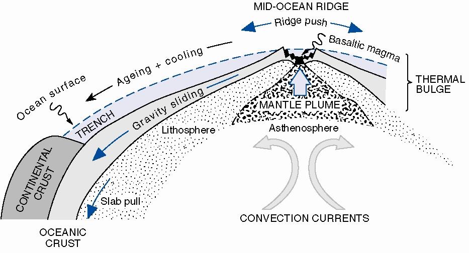 Princip pohybu litosférických desek gravitační zanořování postupně těžknoucí oceánské kůry pod lehčí kontinentální kůru vznik nové oceánské kůry na riftech v důsledku