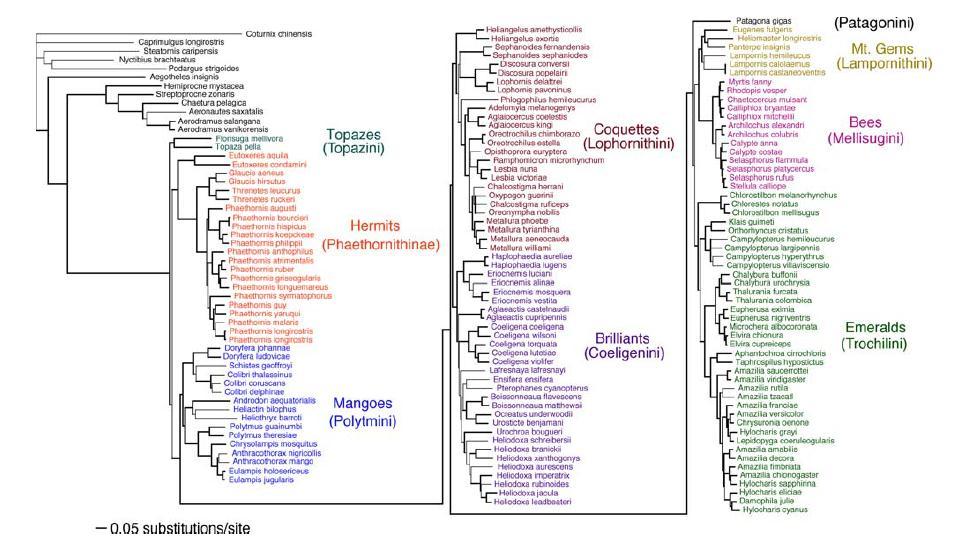 McGuir et al.