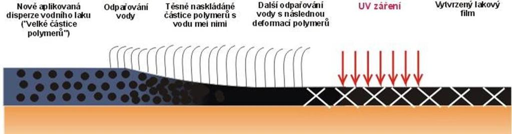 Tvorba filmu probíhá v UV tunelu přes iniciaci, propagaci a terminaci, které jsou vyvolány díky rtuťovým zářičům o vlnové délce 0,3 0,4 µm.