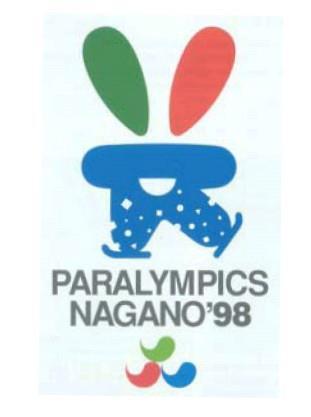 VI. zimní paralympijské hry LILLEHAMMER NORSKO Obrázek 20 - Lillehammer 199