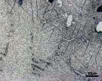 rastrovacím mikroskopu však nebyly prokázány. Jedná se s největší pravděpodobností o karbidy.