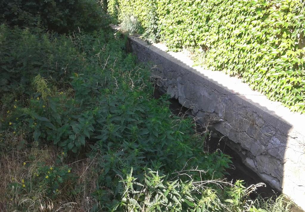 zástavby, náletová vegetace Ř.