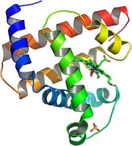 Elektrosprej Příklad: Analýza proteinů - myoglobin myoglobin 16951 Da, 153 AA Tvorba vícenásobně nabitých molekulárních aduktů [M+H] +, [M+2H] 2+, [M+3H] 3+, [M+4H] 4+, atd.