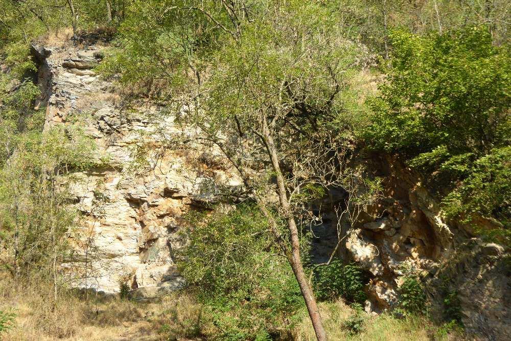 Žíznivý turista dokonce narazí na občerstvení U osamělé blechy, pokud