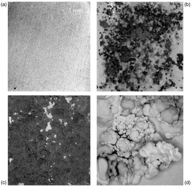 Oxidace hořčíkových slitin 380 C/ 10h 470 C/ 1h Oxidace hořčíkové slitiny AZ91D za zvýšených teplot (Czerwinski, 2002)