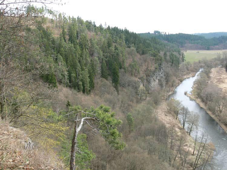 2: Bítov, PR Růžový vrch, lesnatý až skalnatý výběžek nad Vranovskou přehradou ca 2 km ca jižně obce Chvalatice, 48 55 53 59 N, 15 44 29 32 E, 370 430 m n. m., 1. 4. 2011, SK, EM (obr. 2).