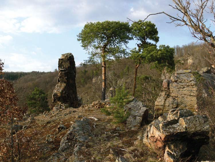 Obr. 2. Hřbetní část ostrohu nad Vranovskou přehradou na lokalitě PR Růžový vrch. Foto Z. Musil, 1. 4. 2011. Fig. 2. Růžový vrch Nature Reserve, a ridge-shaped promontory above the Vranovská přehrada Reservoir.