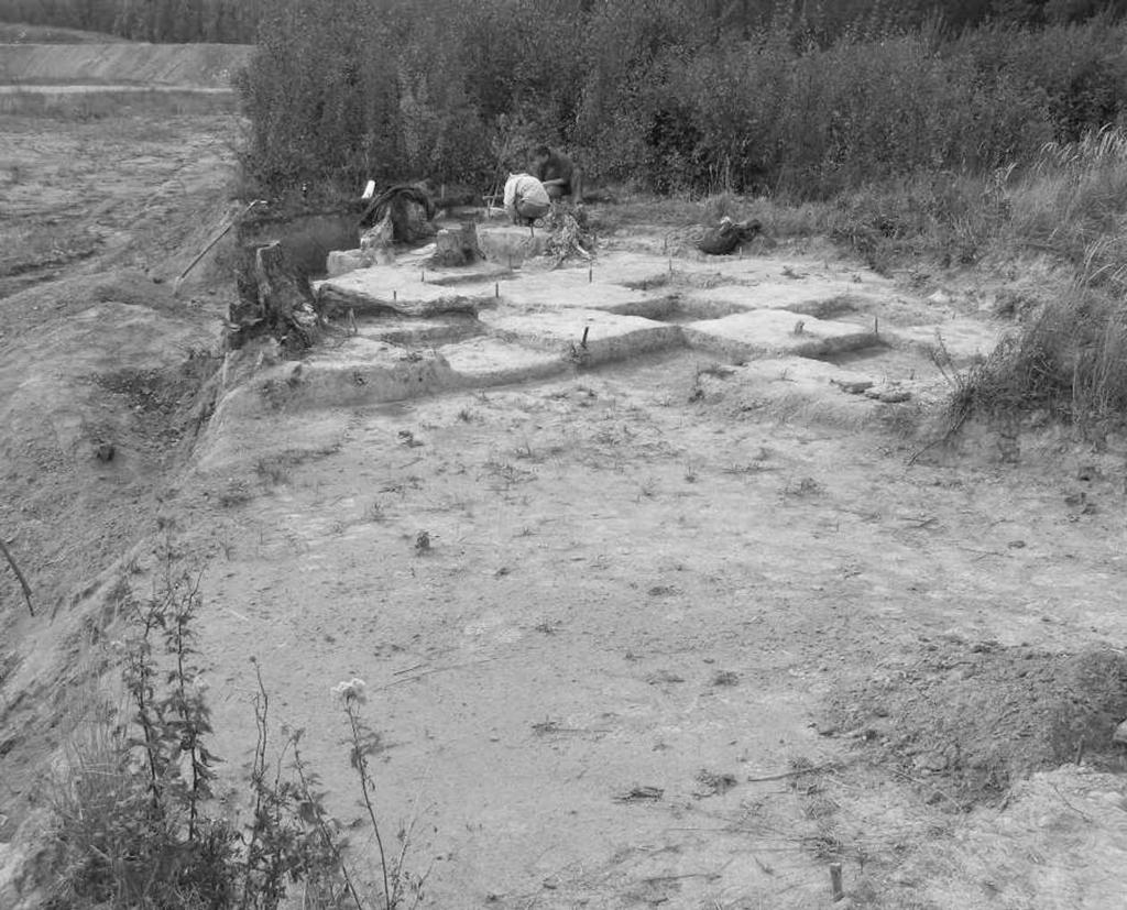 Zprávy o výzkumech za rok 2007: Neolit keramikou v Mokré, trati Spálená seč (obr. 15).