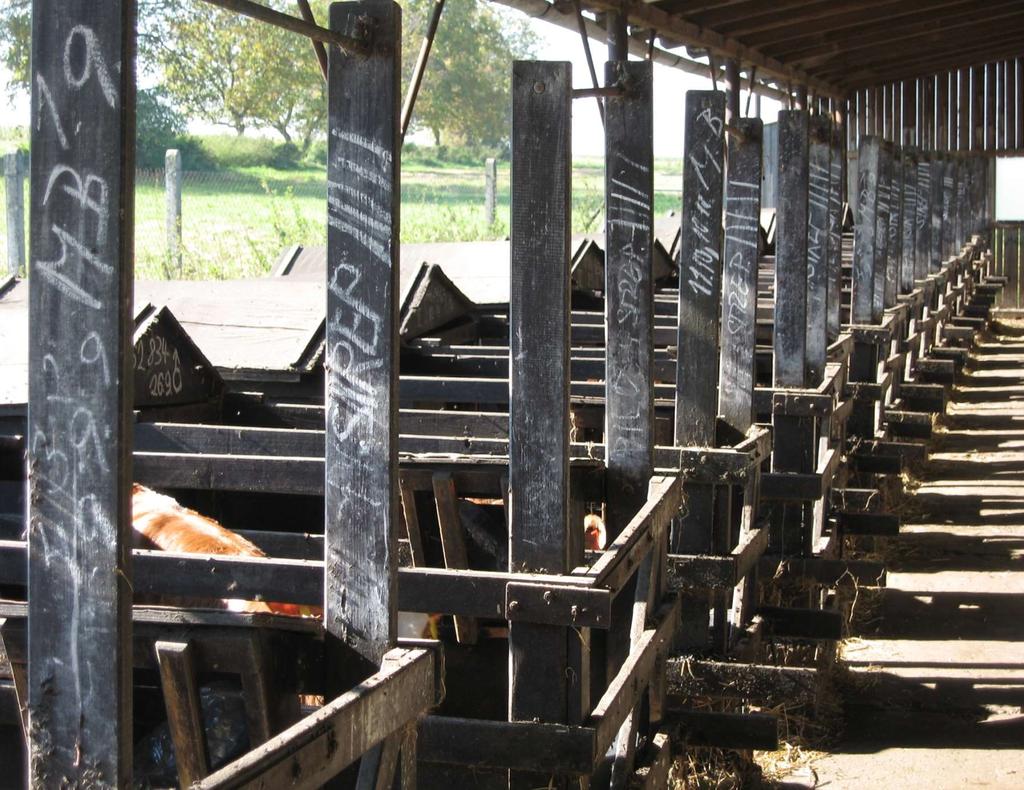 podnik s více středisky = mnohdy chybí provázanost dat (nemoci telat nemoci