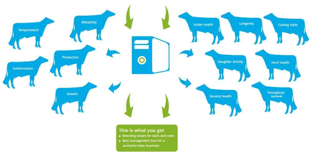 Chov A šlechtění a genetika Chov B aplikovaný výzkum pro chovatele výživa a krmení