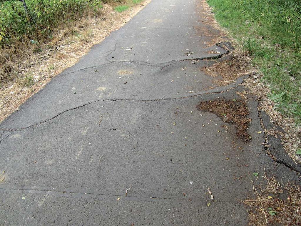 Deformace Místní hrboly a poklesy Jedná se o různé lokální vyvýšeniny způsobené objemovými změnami v podloží, např.