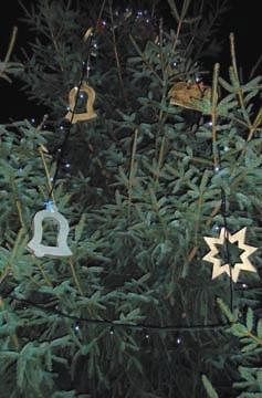Advent byl jiï tradiãnû zahájen rozsvícením vánoãního stromu na obvyklém místû u dûtského hfii tû v Krásném Lese první adventní nedûli 3. prosince.