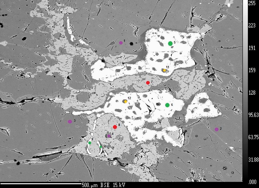 Obr. 18: Mikrofotografie v odraţených elektronech pořízená mikrosondou. Klinopyroxen uzavírající spinely "červovitého" tvaru a spinel obsahující v sobě drobné chromity. Spinel označen zelenými body č.