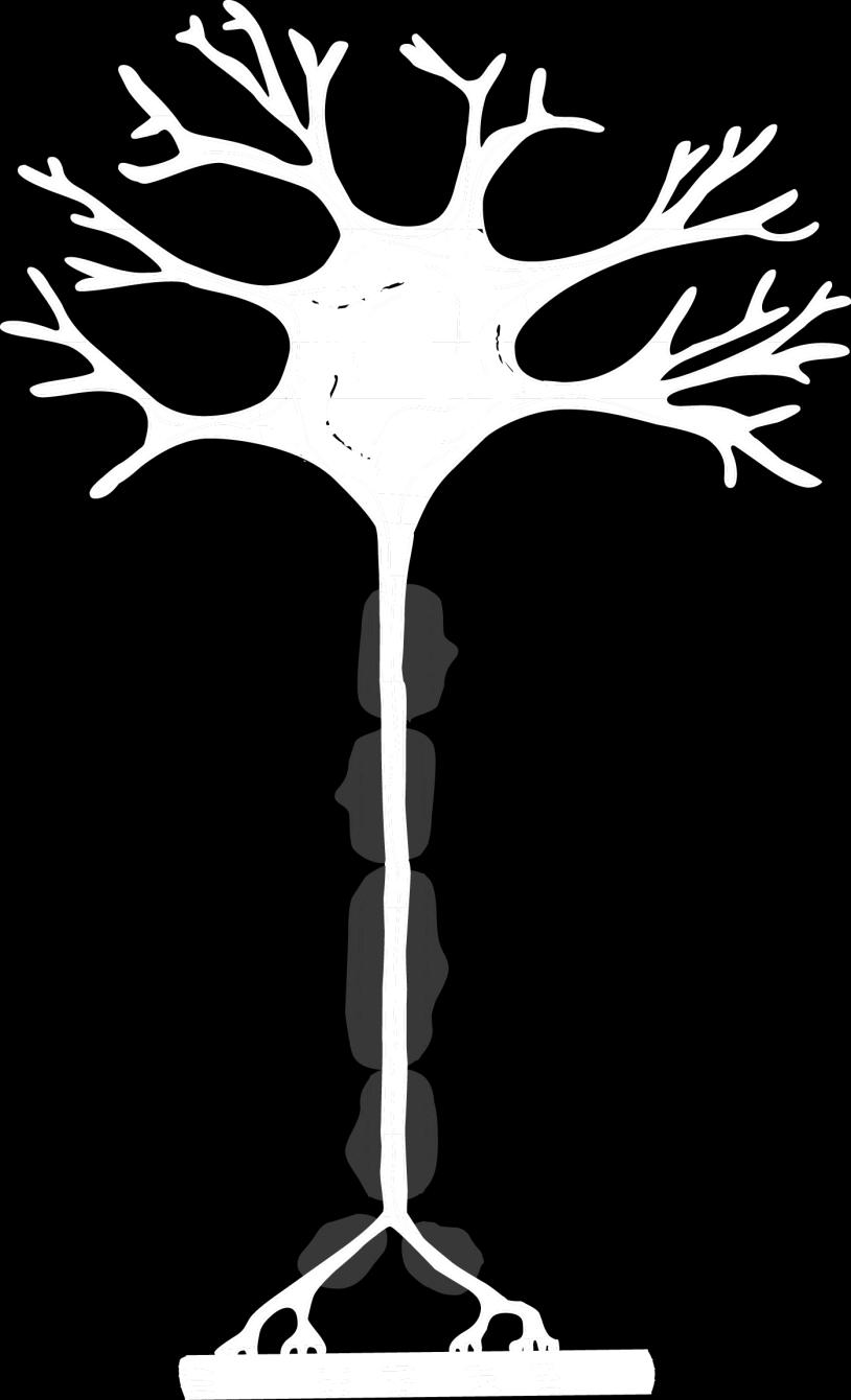 Buňky nervového systému Buňky CNS 1. Neurony 2. Neuroglie Buňky PNS 1. Neurony 2. Neuroglie 1. Schwannovy buňky 2. Satelitní buňky Neuron 1.