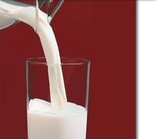 Ochranné faktory Mléčné výrobky, mléčné bílkoviny nárazníková (pufrovací) schopnost, zvýšení ph i díky dekarboxylaci AK z rozštěpeného kaseinu Mléčný kasein adsorpce na povrch zubů, kaseinová