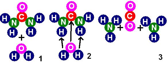 vody NH 3 se ovšem jako plyn okamžitě slučuje s další molekulou