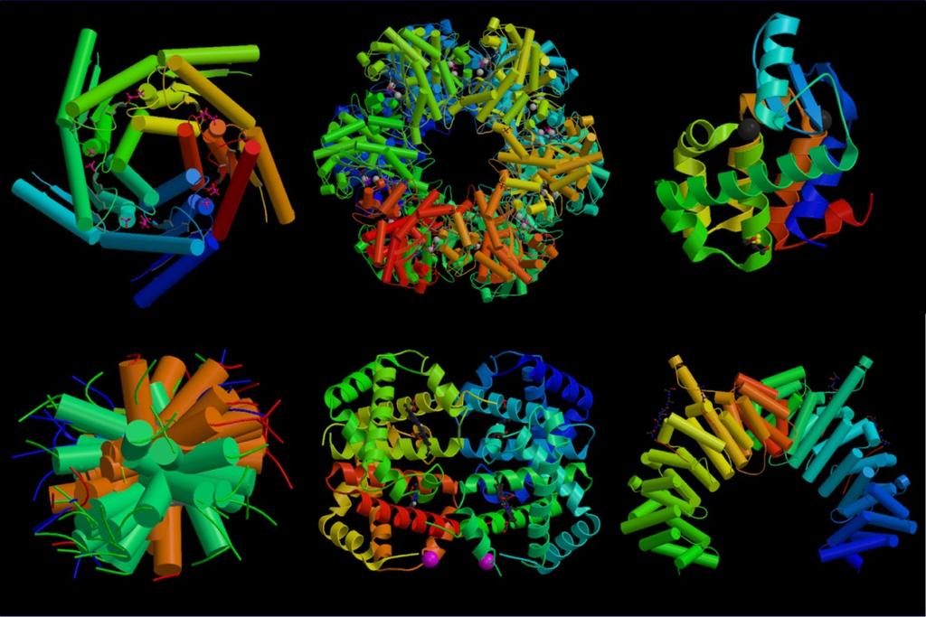 Biomolekuly l proteiny