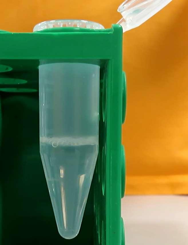 Působením kyseliny dusičné nastává nitrace aromatického jádra za vzniku žlutých nitrosloučenin.