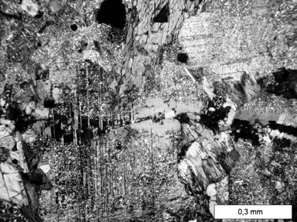 Geol. výzk. Mor. Slez. v r. 2005, Brno 2006 91 vaný. Obsah magnetitu a ilmenitu dosahuje až 3 obj. %.