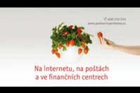 hodnocení reklam Tomáš Hynčica Admosphere Obchodní ředitel Maminky chtějí mít očkované děti a čisté koupelny. Auta jsou levná a výjimečná.