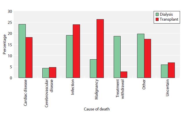 Porovnání příčin úmrtí PDL vs.