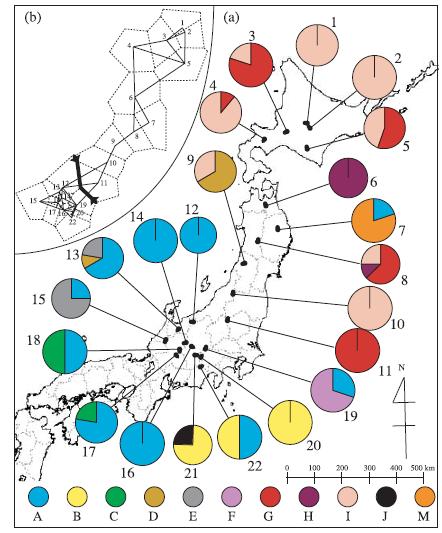 Analýza fylogeografických dat identifikace ostrých změn v