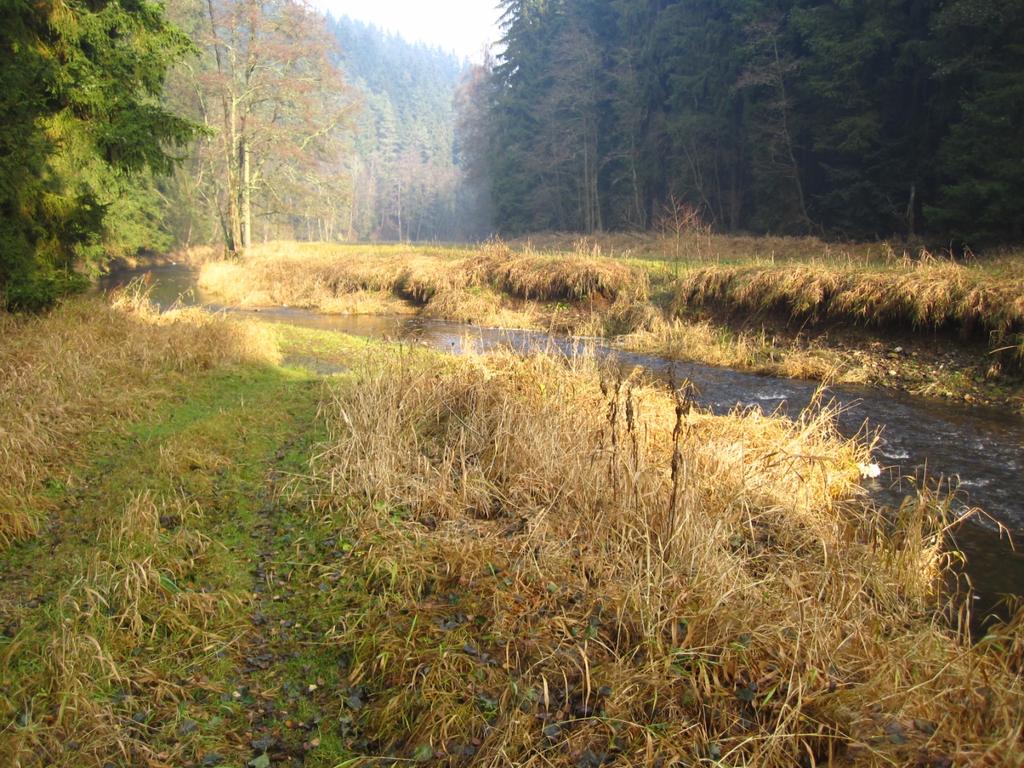 Řeka jako