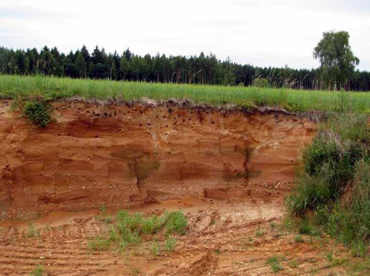 PÍSKOVNA LŢÍN Lokalizace: Boh., Lţín (6754), pískovna Lţín, 49 13.755 N 14 46.546 E, písečné dno, 18.VI.