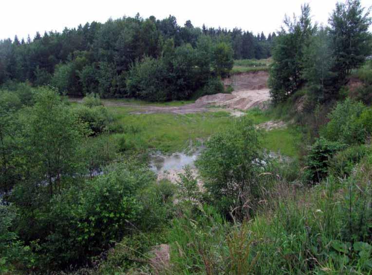 PÍSKOVNA NAKOLICE Lokalizace: Boh., Nakolice (7254-55), pískovna Nakolice, 48 48.075 N 14 49.340 E, bahnitopísčité dno, 18.VI.
