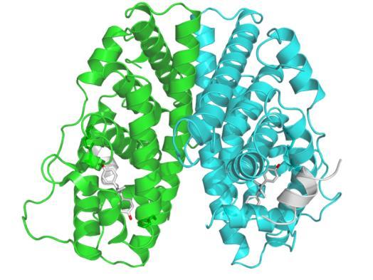 receptor - nukleární receptor: