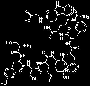 ADRENOKORTIKOTROPNÍ HORMON Hypothalamus: CRH ( corticotropin-releasing hormone ) Adenohypofýza: ACTH (adrenokortikotropní hormon) ACTH