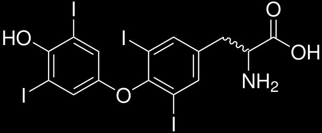 HORMONY ŠTÍTNÉ ŽLÁZY Trijodthyronin (T 3 ) transport krví: velmi malá koncentrace volně diagnostika transport do buňky: transportéry Cíl: celý organismus zvyšují bazální metabolismus Thyroxin