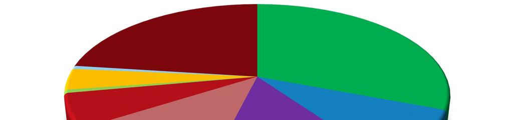 Graf 6 - Dotace podle aktivit v % z rozpočtu na neinvestiční projekty SKUTEČNĚ ČERPANÁ NEINVESTIČNÍ DOTACE V % 2H 1% 2G 4% 2F 1% 2I 23% 2A 31% 2E 6% 2D 12% 2C 13% 2B 9% Oproti předcházejícímu roku