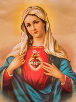 Slavnost Nanebevzetí Panny Marie Příběh slavnosti Nanebevzetí Panny Marie 1. listopadu 1950 papež Pius XII.