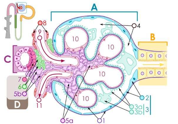 obr. 18.