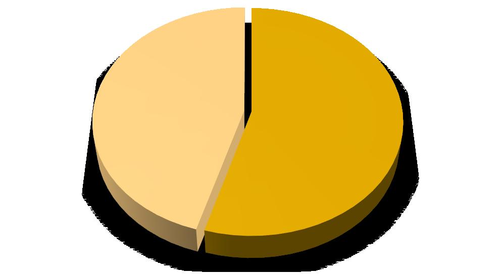UTB ve Zlíně, Fakulta humanitních studií 41 n 227 (45%) n 273 (55%) Ne Ano Graf 8: Příprava na porod.
