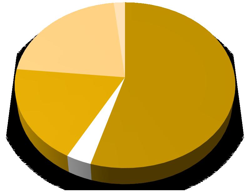 UTB ve Zlíně, Fakulta humanitních studií 47 n 9 (2%) n 108 (22%) n 93 (19%) n 17 (3%) n 273 (54%) Epiziotomie Ruptura v pochvě Ruptura hráze Žádné Nevím Graf 14: Porodní poranění.