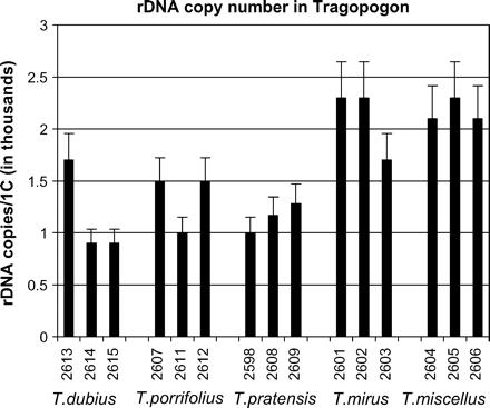 Rapid Concerted Evolution of Nuclear Ribosomal DNA in Two Tragopogon Allopolyploids of