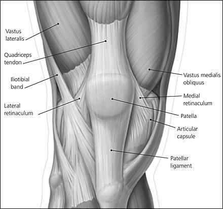 m. vastus medialis obliquus a začíná od mediálního intermuskulárního septa. Svalová vlákna probíhají více horizontálně a svírají s dlouhou osou femuru úhel přibliţně 50.