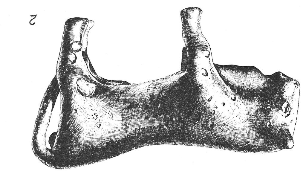 Obrázek 33: Stradonice.