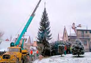 Vánoční strom milý dárek občanů z Opatova V letošním roce bude náměstí zdobit smrk omorika, který městu Svitavy věnovalo společenství vlastníků obytného domu v Opatově.