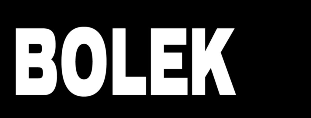 Boleslav