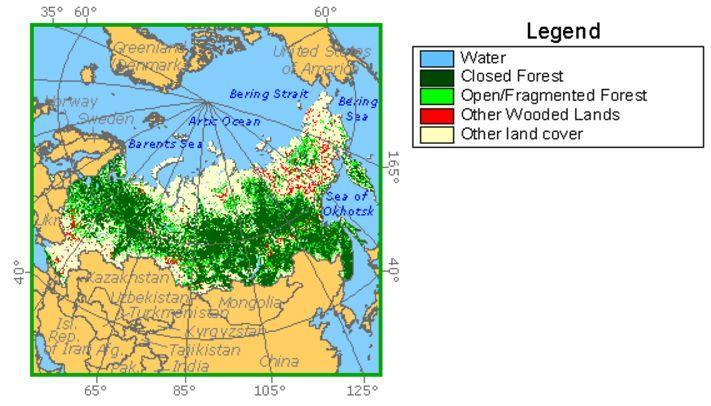6.4.4 Lesnatost Lesy Ruska se dělí na tři kategorie: lesy produkční, chráněné lesy a lesy pod přísnou ochranou. Celková rozloha lesů Sibiře činí asi 114,411 milionů km 2.