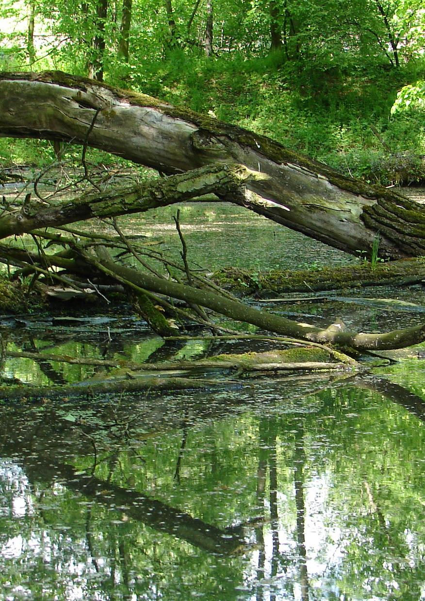 Vydal ALKA Wildlife, o.p.s. Tel. 606598903 E-mail.