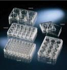 neck, FILTER CAP, 7 ml 160 ks 4 990,- 156472 NU Easy Flask 75 cm 2, VENT/CLOSE, 25 ml 100 ks 3 980,- 156499 NU Easy Flask 75 cm 2, FILTER CAP, 25 ml 100 ks 3 680,- 153732 NU TC Flask 80 cm 2,
