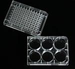 cm 2, 7 ml 200 ks 3 420,- 130190 BL TC flask 75 cm 2, FILTER CAP, 25 ml 100 ks 2 930,- 130193 BL TC flask 75 cm 2, 25 ml 100 ks 2 910,- 130191 BL TC flask 175 cm 2, FILTER CAP, 50 ml 40 ks