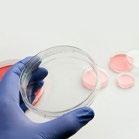 wrap, paper/plastic 200 ks 2 320,- SEROLOGICKÉ PIPETY JET BIOFIL GSP-010-001 JB 1 ml pipette, ind. wrap, paper/plastic 500 ks 1 400,- GSP-010-002 JB 2 ml pipette, ind.